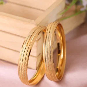 anamika bangle (set of 2 )